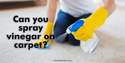 can you spray vinegar on car carpet to remove odors